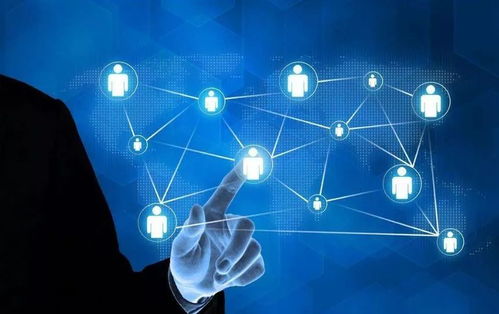 科技型中小企業(yè)評價(jià) 解鎖多重政策紅利，賦能網(wǎng)絡(luò)科技企業(yè)加速成長